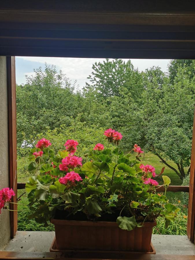 La Grange A Leon Bed & Breakfast Fresse Екстериор снимка